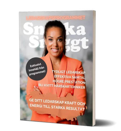 snackasnyggt-cover-ledarskapsprogrammet